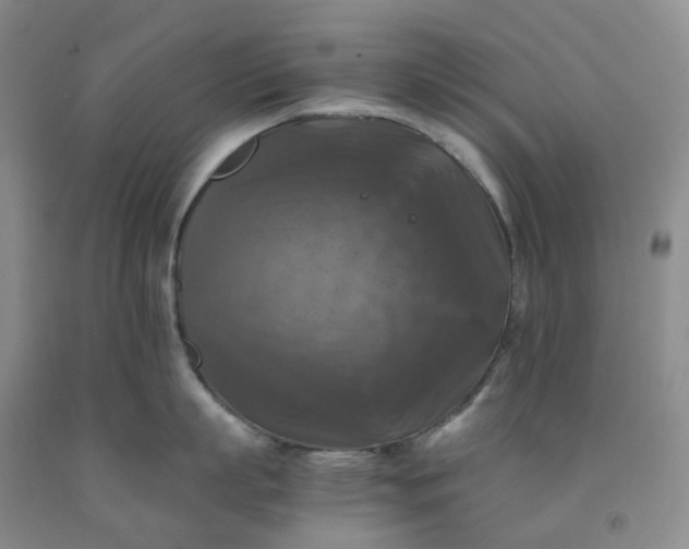 X0000092000863200709201508