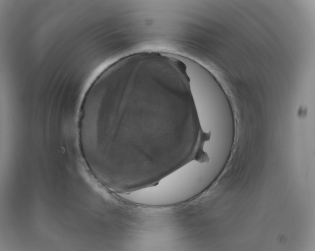 X0000092000864200709201508