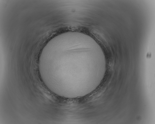 X0000092000865200709201507