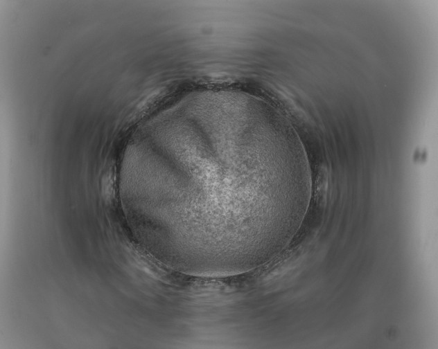 X0000092000866200709201507