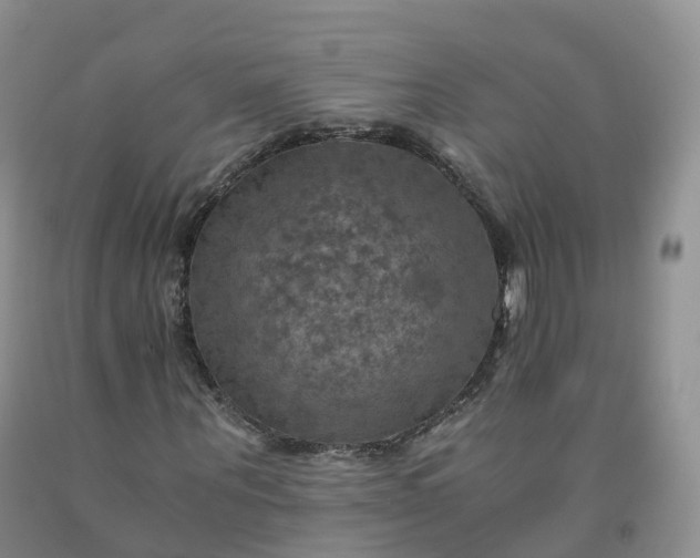 X0000092000867200709201507