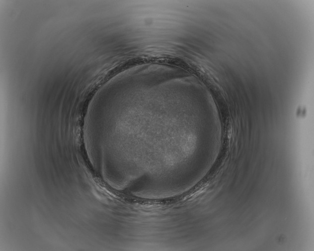 X0000092000868200709201507