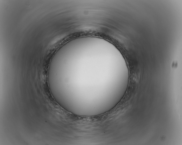 X0000092000869200709201507