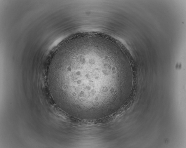 X0000092000871200709201507