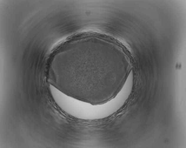 X0000092000872200709201507