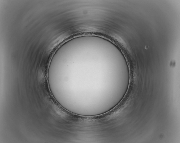 X0000092000873200709201507