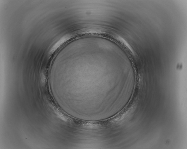 X0000092000874200709201507