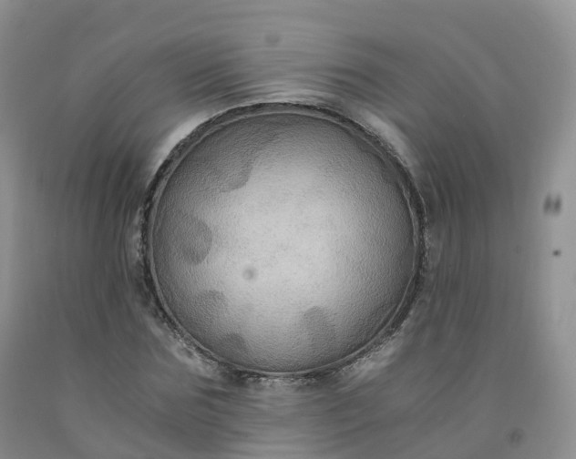 X0000092000875200709201507