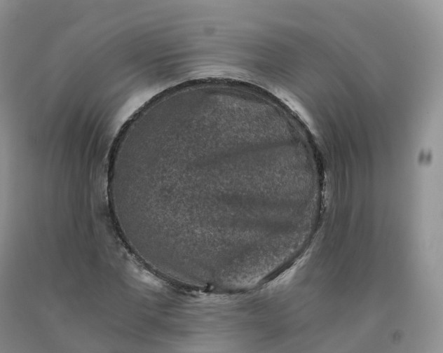 X0000092000877200709201507