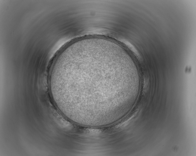 X0000092000878200709201507