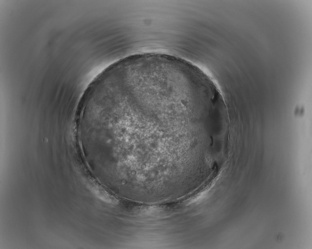 X0000092000879200709201507