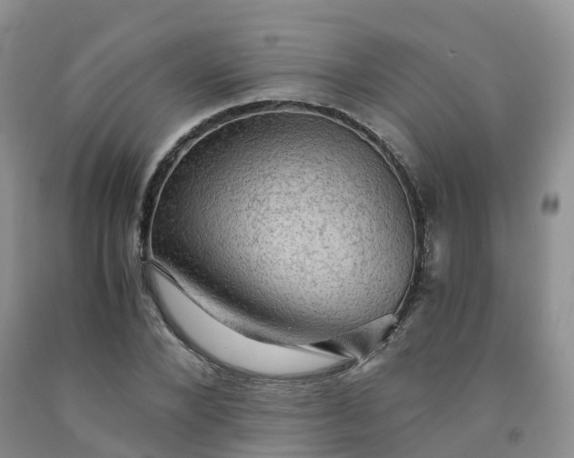 X0000092000880200709201507