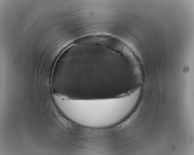 X0000092000881200709201507