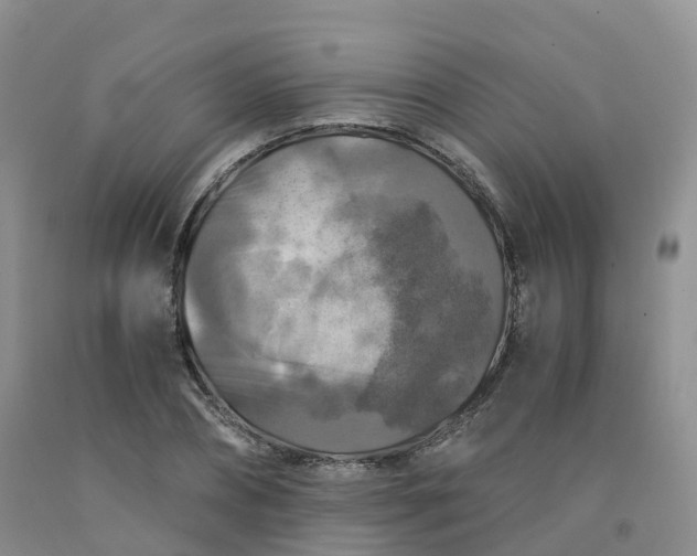 X0000092000882200709201507