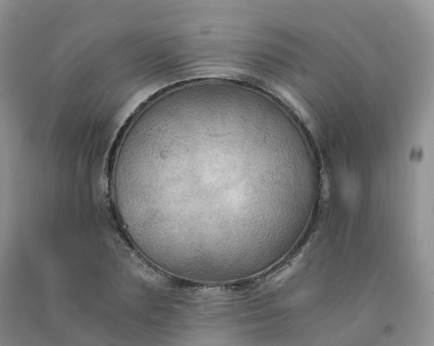 X0000092000883200709201507