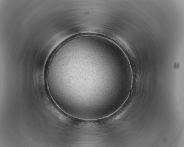 X0000092000884200709201507