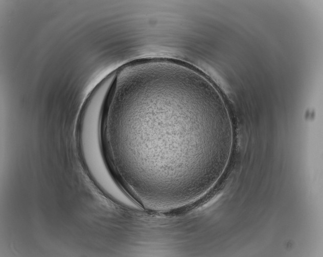 X0000092000885200709201506