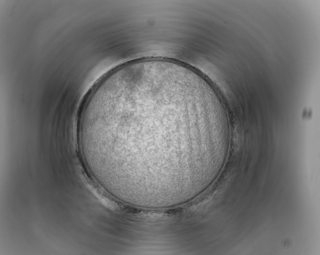 X0000092000886200709201506