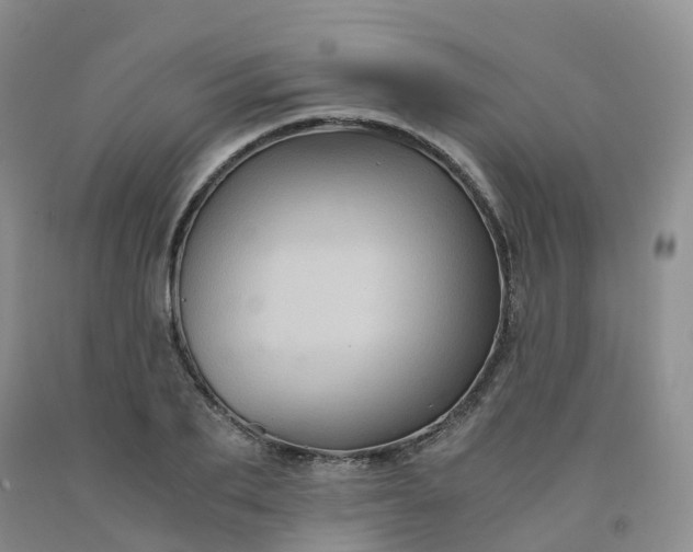 X0000092000887200709201506