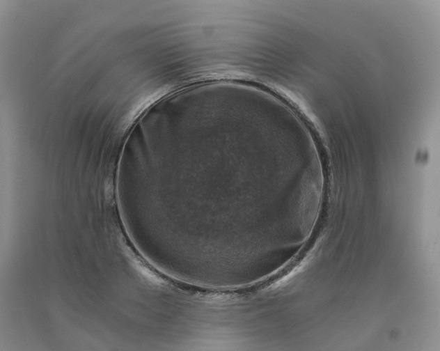 X0000092000889200709201506