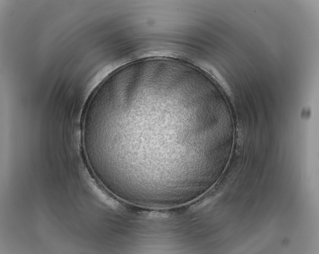 X0000092000890200709201506