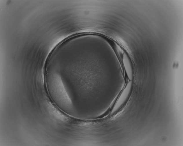 X0000092000892200709201506