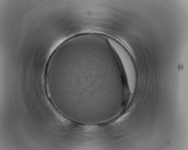 X0000092000893200709201506