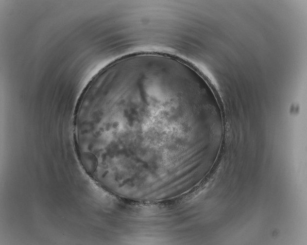 X0000092000895200709201506