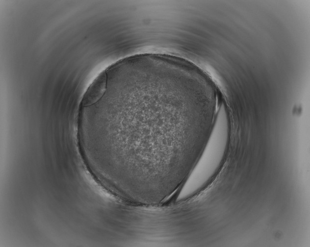 X0000092000896200709201506