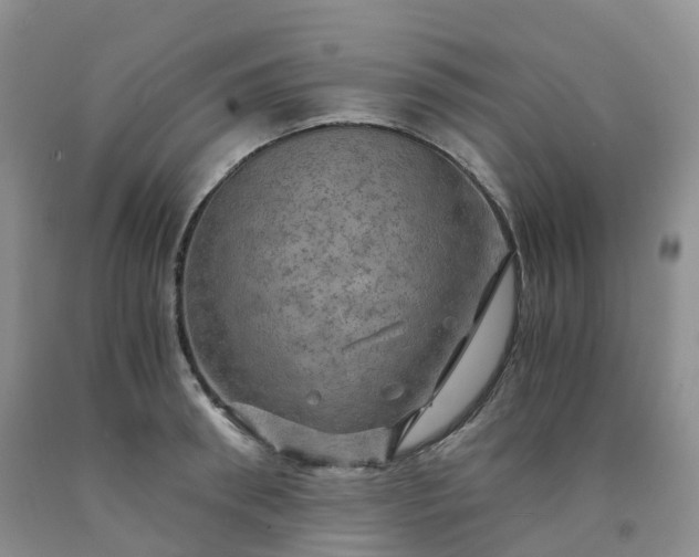 X0000092000898200709201506