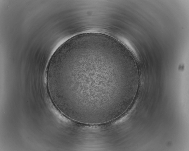 X0000092000900200709201506