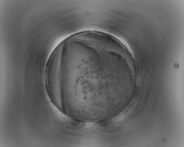 X0000092000903200709201506