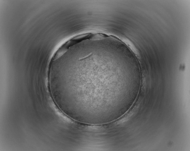 X0000092000904200709201506