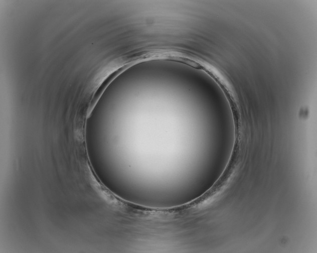 X0000092000905200709201506