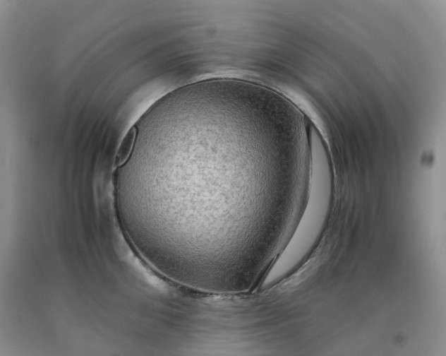 X0000092000906200709201506