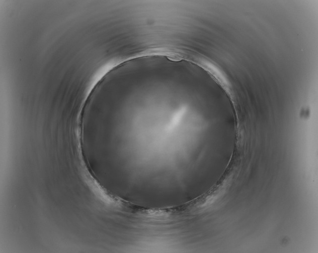 X0000092000907200709201506