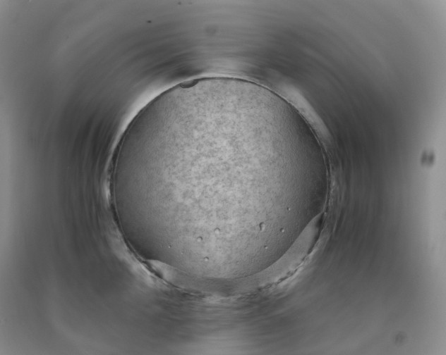 X0000092000908200709201506