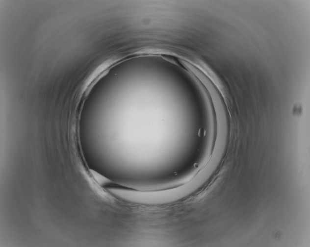 X0000092000909200709201506