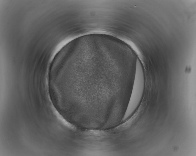 X0000092000910200709201506