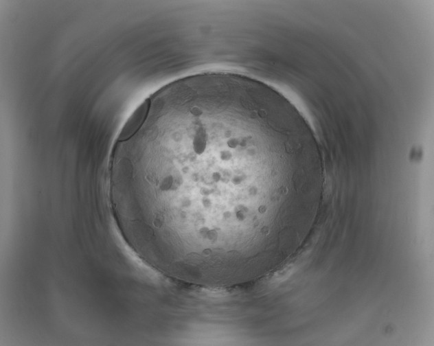 X0000092000911200709201506