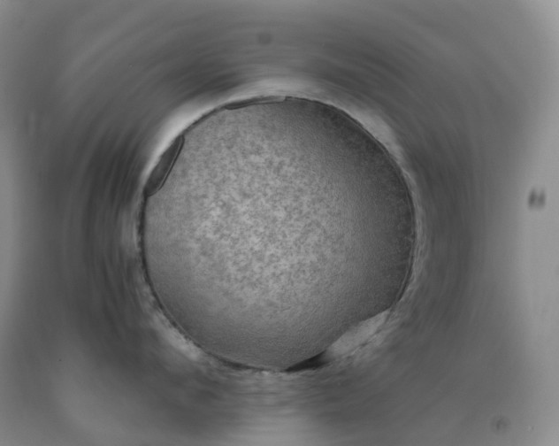 X0000092000912200709201506