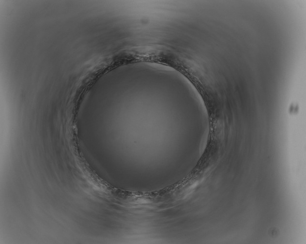 X0000092000913200709201506