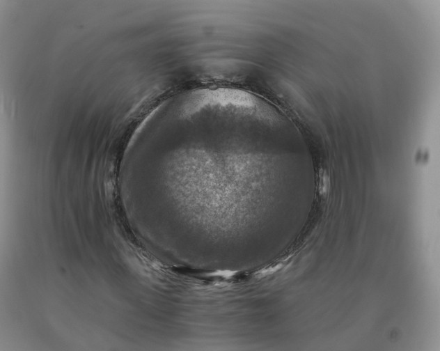 X0000092000915200709201506