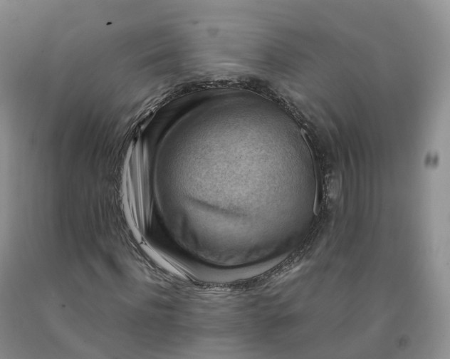 X0000092000916200709201506