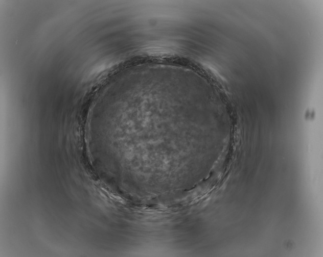 X0000092000917200709201506