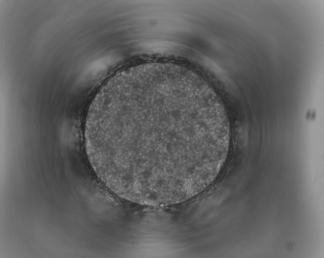 X0000092000918200709201506