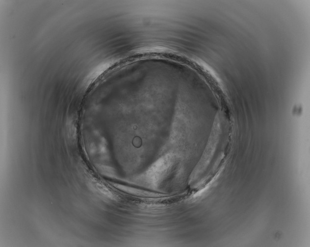 X0000092000921200709201506