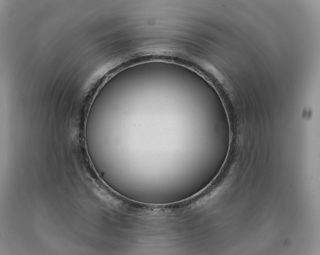 X0000092000922200709201506