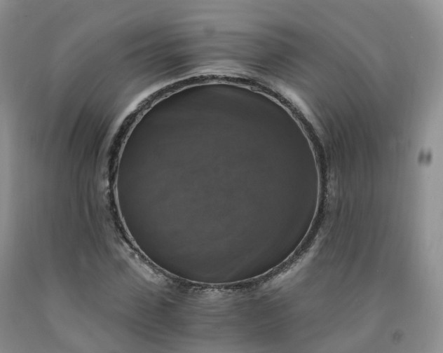 X0000092000923200709201506