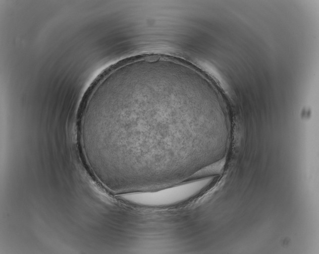 X0000092000924200709201506